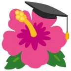 chapéu de formatura + hibisco
