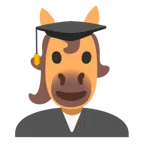 chapéu de formatura + cavalo