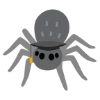 chapéu de formatura + aranha