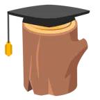 chapéu de formatura + madeira