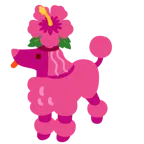 Pudel + Hibiskus