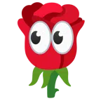 ojos + rosa