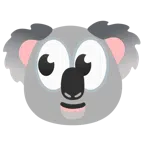 ojos + koala