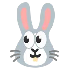 ojos + cara de conejo