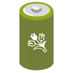 batteria + mazzo di fiori