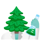 provetta + albero sempreverde