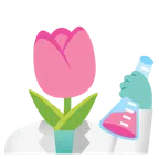 provetta + tulipano