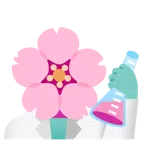 provetta + fiore di ciliegio