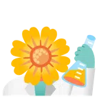 provetta + fiore