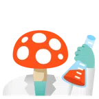 provetta + fungo