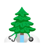 stetoscopio + albero sempreverde