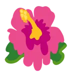 cara derritiéndose + flor de hibisco