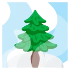 sorgenti termali + albero sempreverde