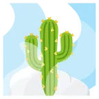 sorgenti termali + cactus