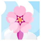 sorgenti termali + fiore di ciliegio