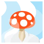 sorgenti termali + fungo