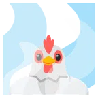 sorgenti termali + gallina