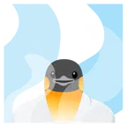 sorgenti termali + pinguino