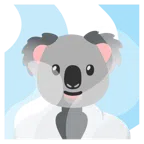 sorgenti termali + koala