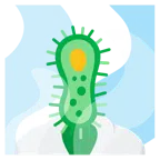 sorgenti termali + microbo