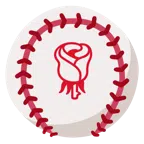 palla da baseball + rosa