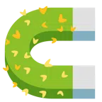 calamita + cactus